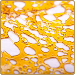 Gas Station Station Concentrate